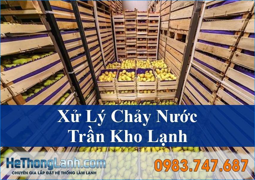 Khắc Phục Nước Chảy Trần Kho Lạnh Hiệu Quả Chuyên Nghiệp Từ HeThongLanh
