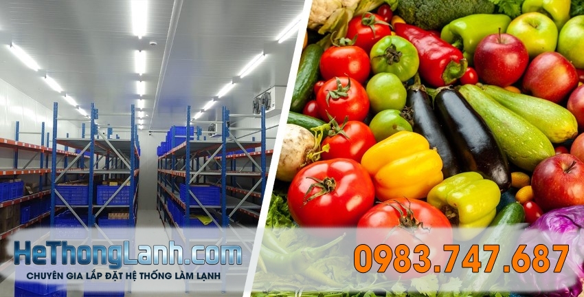 Kiểm Tra Ban Đầu Và Đánh Giá Tình Trạng