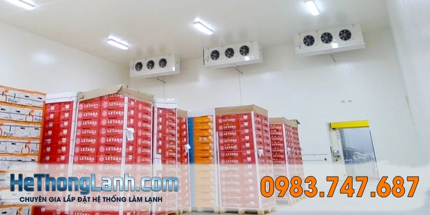 Vai Trò Kho Lạnh Trong Phát Triển Kinh Tế Lai Châu