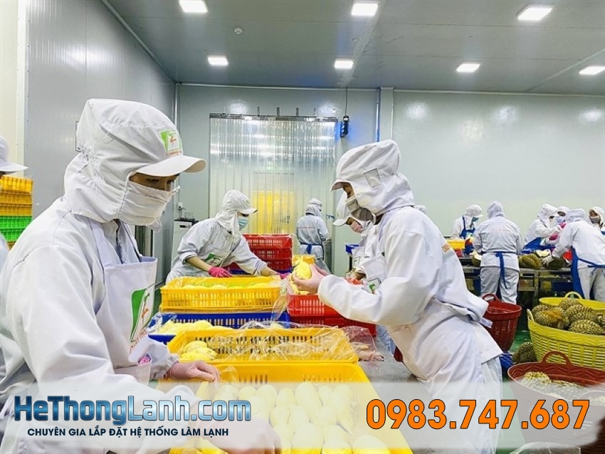 Hiểu về Hệ thống giám sát nhiệt độ kho lạnh từ xa