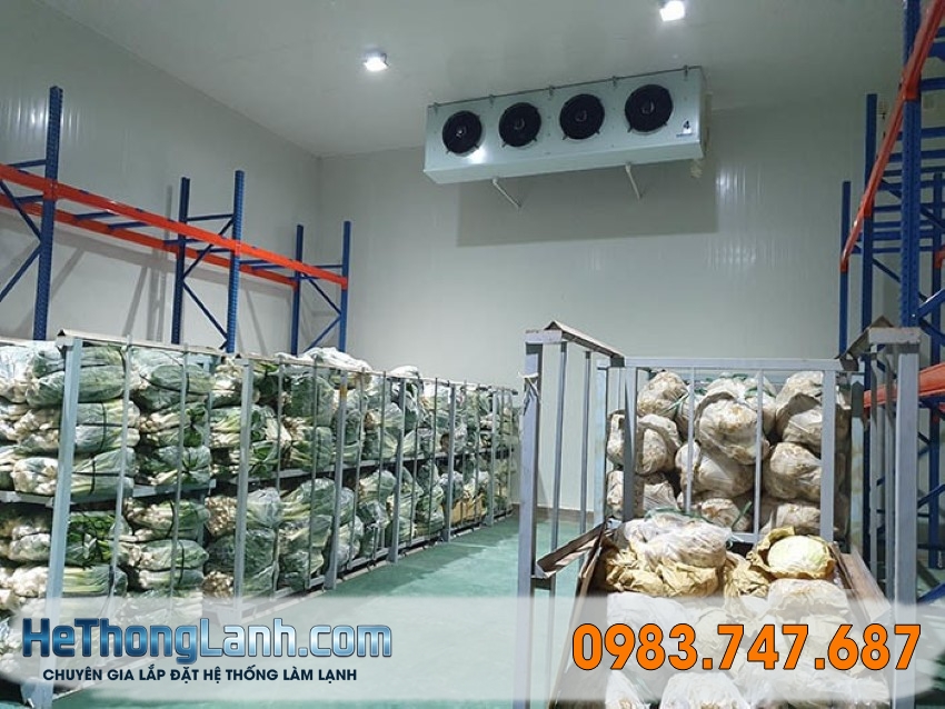 Tổng quan về độ ẩm trong môi trường kho lạnh