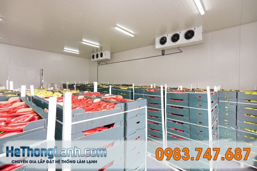 Dịch Vụ Sửa Chữa Bảo Dưỡng Kho Lạnh Tận Nơi Lai Châu