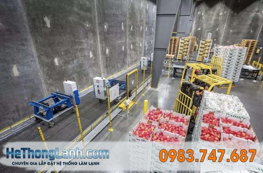 Cấu tạo cơ bản của một hệ thống kho lạnh chuyên nghiệp