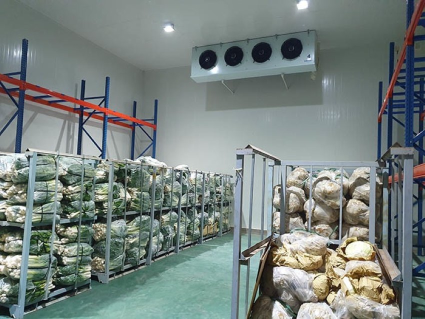 Gas lạnh R22 Sự lựa chọn truyền thống và những hạn chế